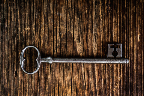 Unlocking Family: Discovering&nbsp;Diblings